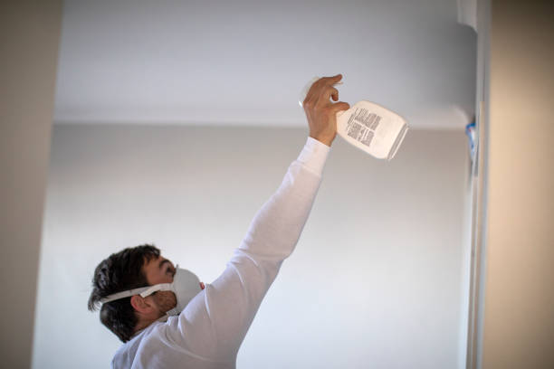 Best Fast Mold Removal  in Denton, TX