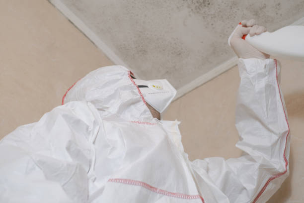 Best Mold Removal Near Me  in Denton, TX