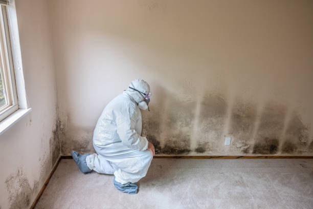 Crawl Space Mold Removal in Denton, TX